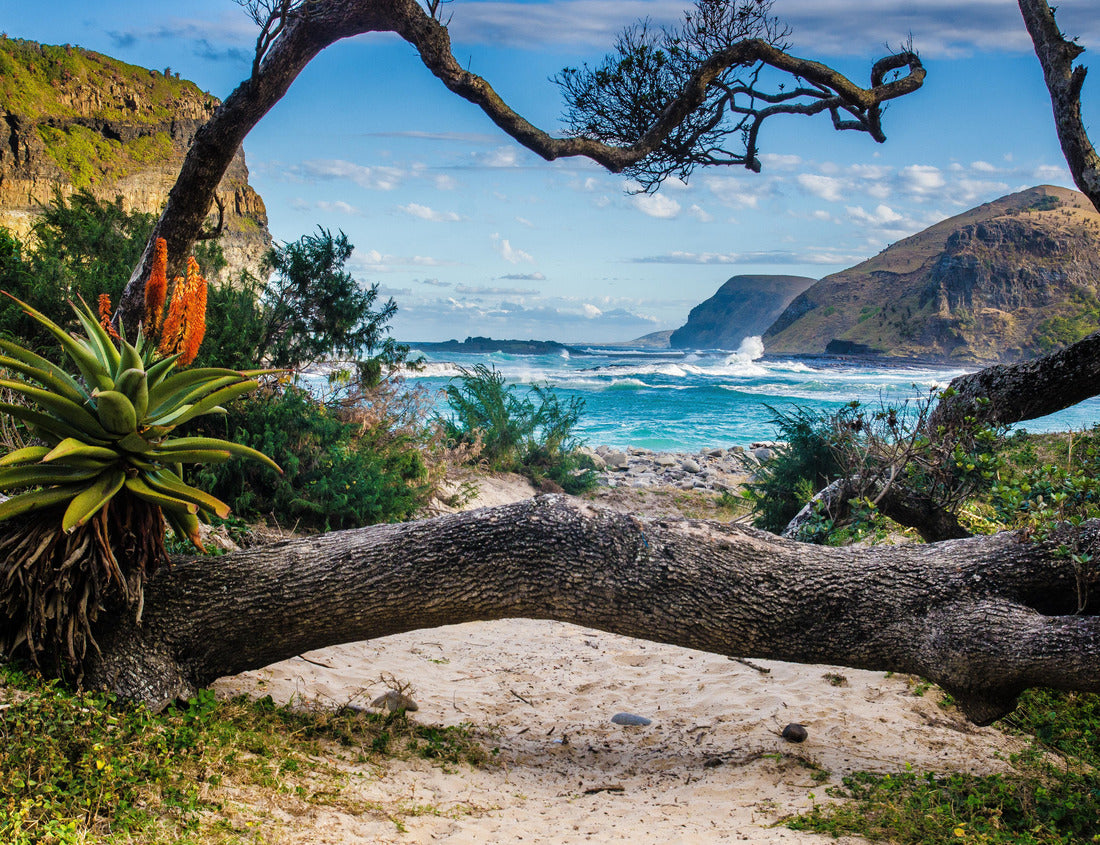 Noah Jigsaw Puzzle nature around the hole in the wall at Coffee Bay on the Wild Coast, Republic of South Africa 1000 pieces