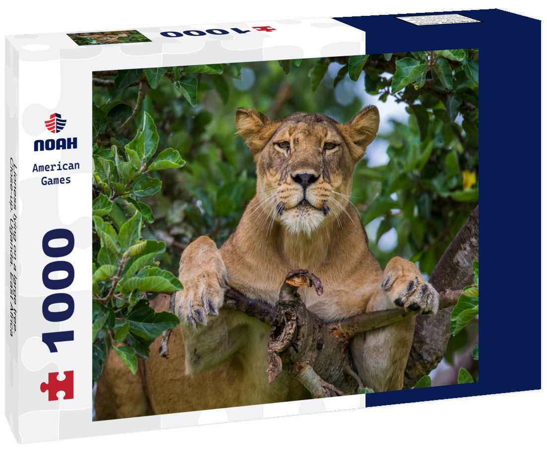 Noah Jigsaw Puzzle Lioness lying on a large tree. Close-up. Uganda. East Africa 1000 pieces