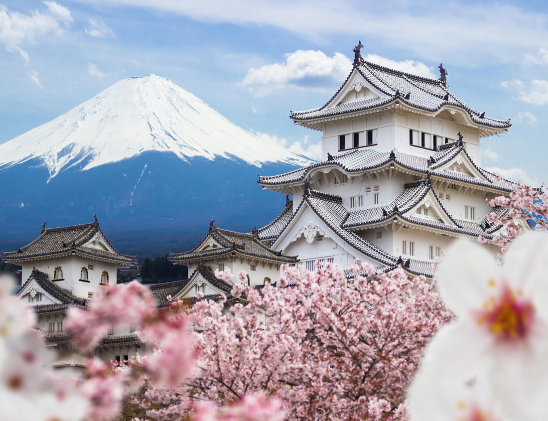 Noah Jigsaw Puzzle Himeji Castle and full cherry blossom, with Fuji mountain background, Japan 1000 pieces
