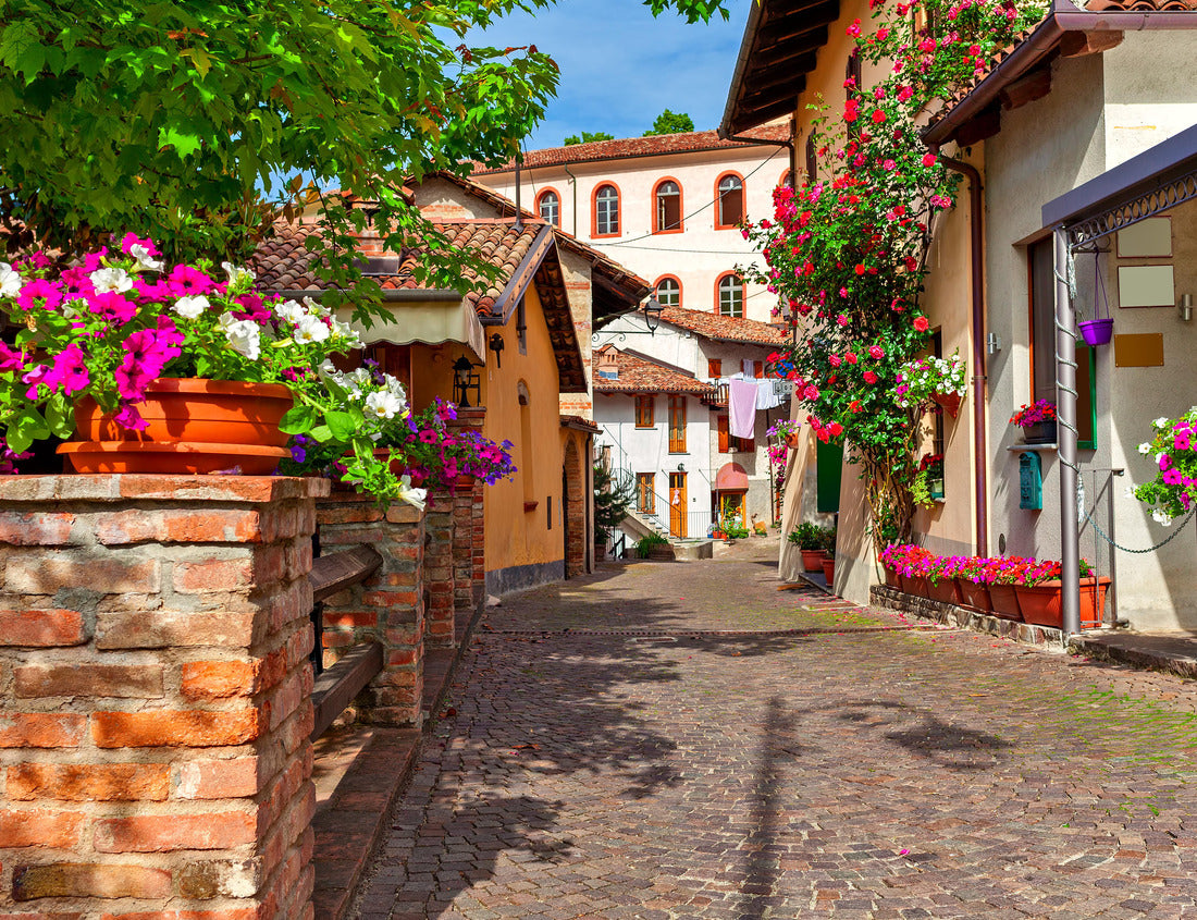 Noah Jigsaw Puzzle Narrow, stone street and typical houses decorated with flowers in the city of Barolo, Piedmont, northern Italy 1000 pieces