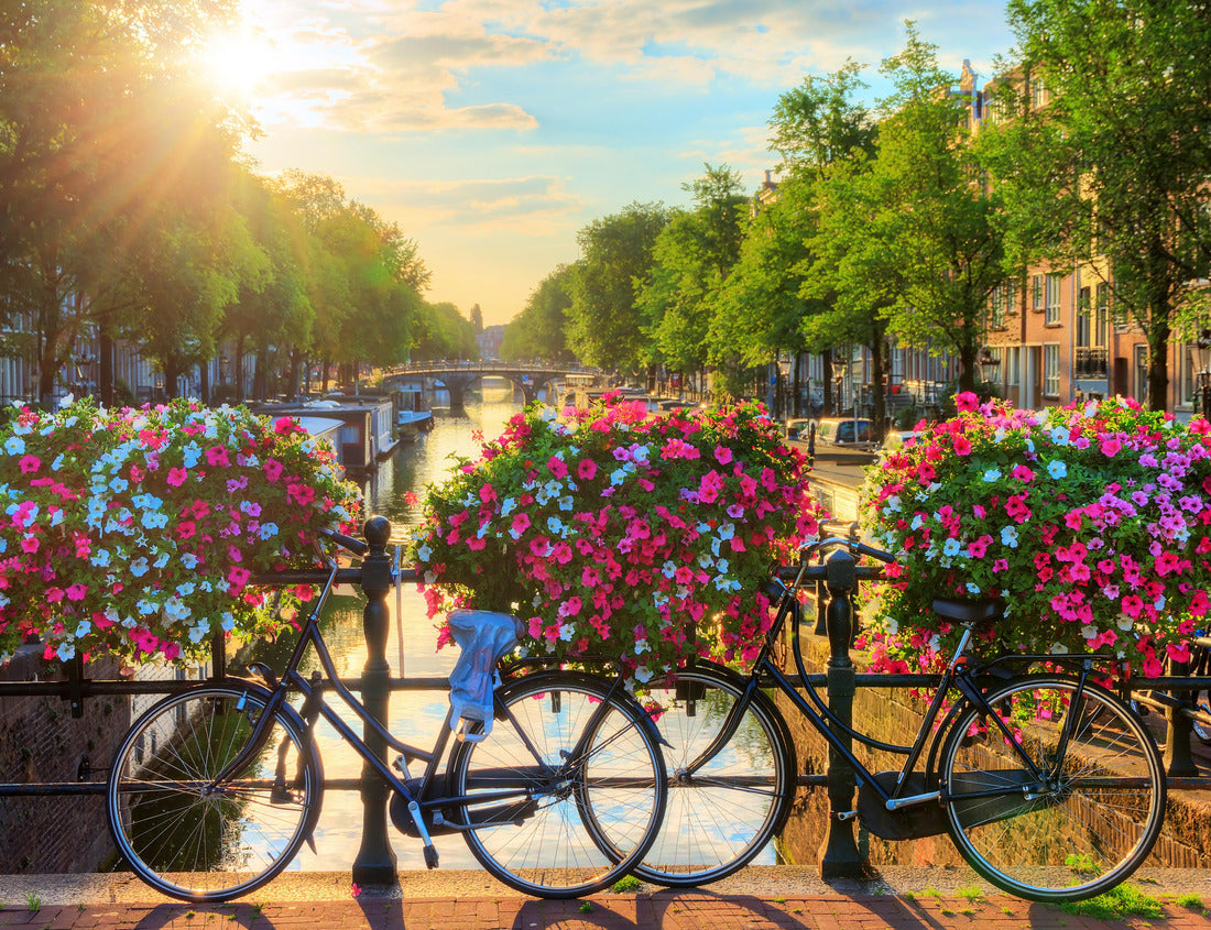 Noah Jigsaw Puzzle Beautiful summer sunrise on the famous UNESCO World Heritage canals of Amsterdam, Netherlands, with vibrant flowers and bicycles on a bridge 1000 pieces