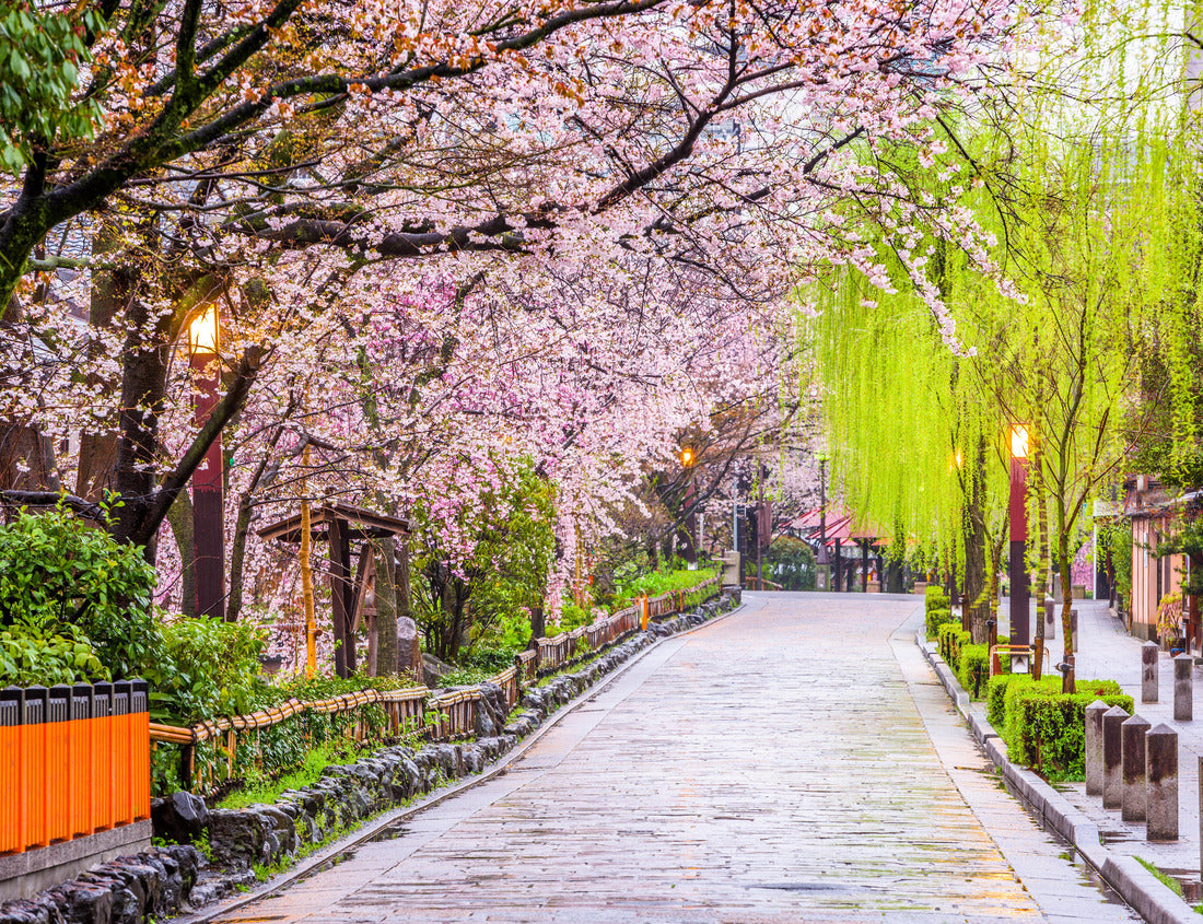 Noah Jigsaw Puzzle Gion Shirakawa, Kyoto, Japan in spring 1000 pieces