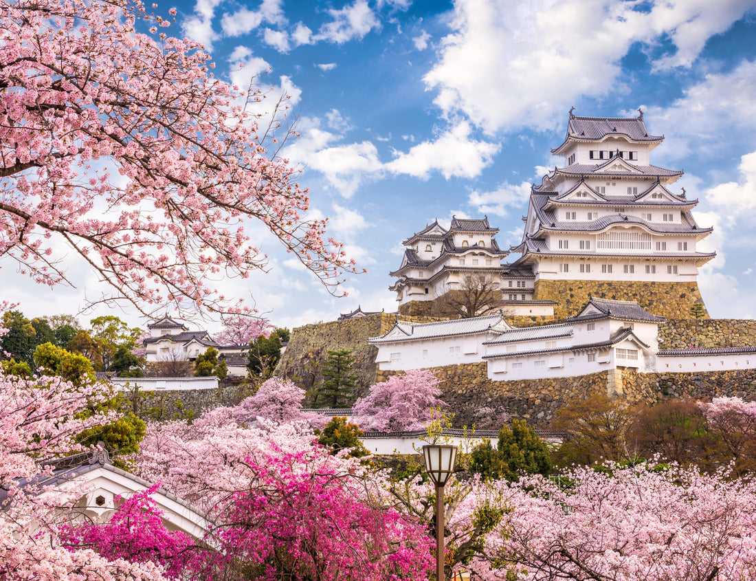 Noah Jigsaw Puzzle Himeji, Japan at Himeji Castle in spring 1000 pieces