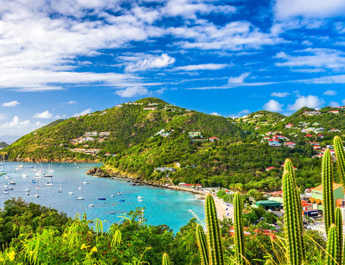 Noah Jigsaw Puzzle Gustavia, Saint Barthelemy skyline and harbor in the Caribbean 1000 pieces