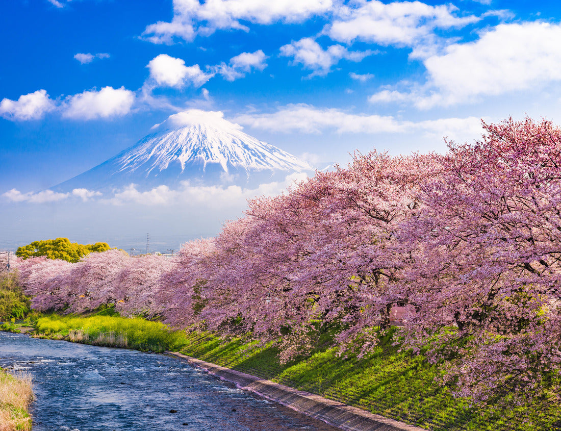 Noah Jigsaw Puzzle Mt. Fuji, Japan and river in Spring 1000 pieces