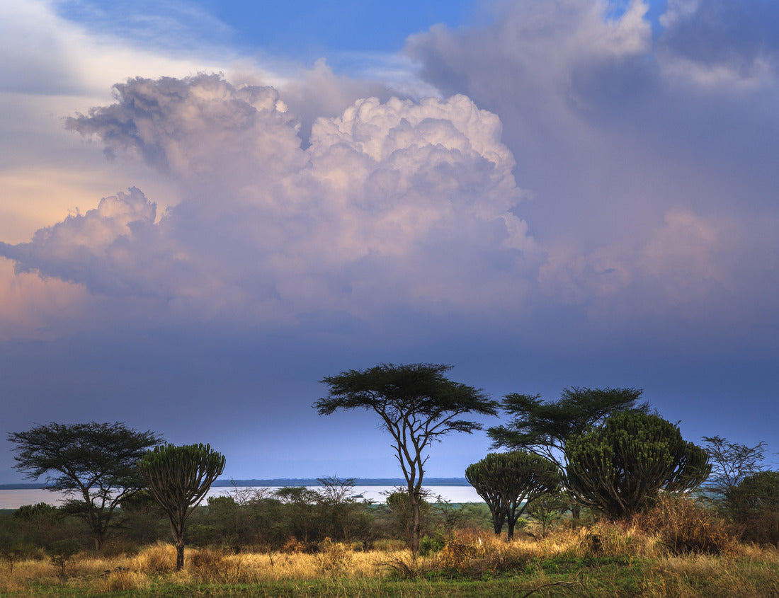 Noah Jigsaw Puzzle Lake Edward in Queen Elizabeth National Park, Uganda 1000 pieces