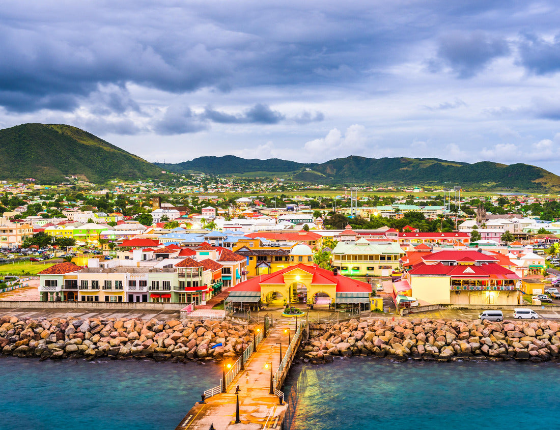 Noah Jigsaw Puzzle Basseterre, St. Kitts and Nevis town skyline at the port 1000 pieces