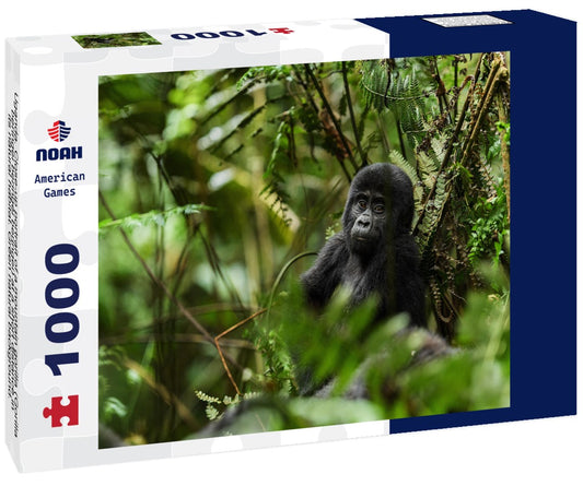 Noah Jigsaw Puzzle Uganda. Close-up portrait of a mountain gorilla (Gorilla beringei beringei beringei) at a short distance in its natural habitat. Green natural background. National Park forest. Uganda. Africa 1000 pieces