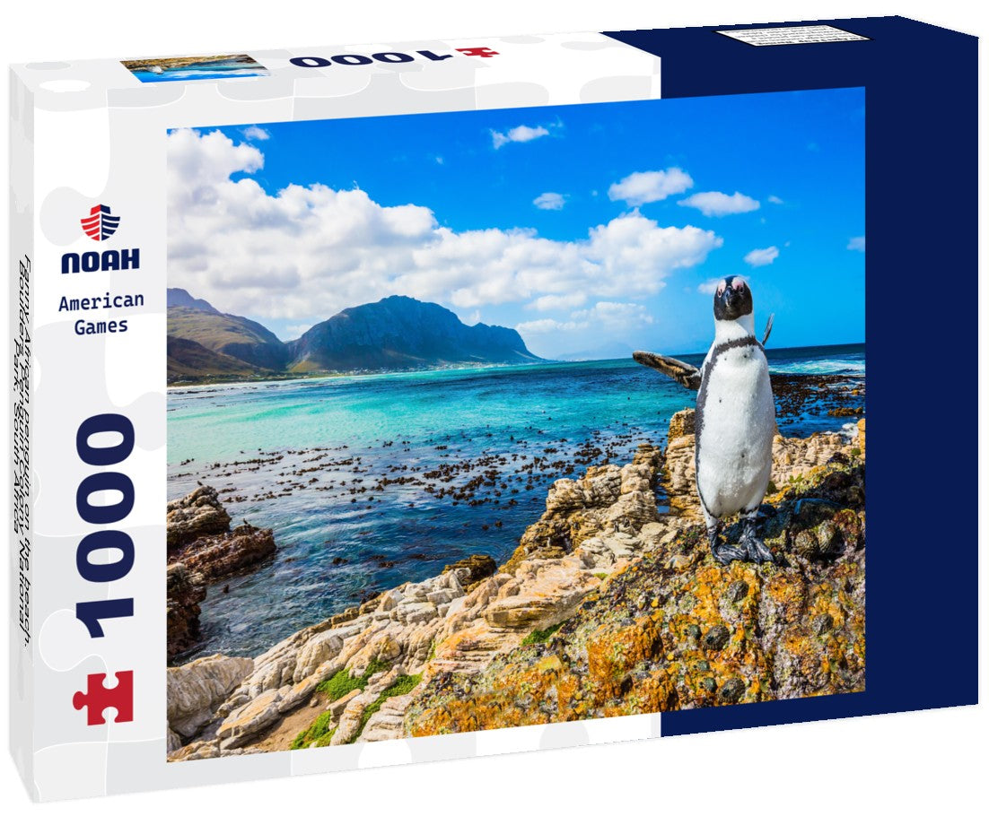 Noah Jigsaw Puzzle Fanny African penguin on the beach. Boulders Penguin Colony National Park, South Africa 1000 pieces