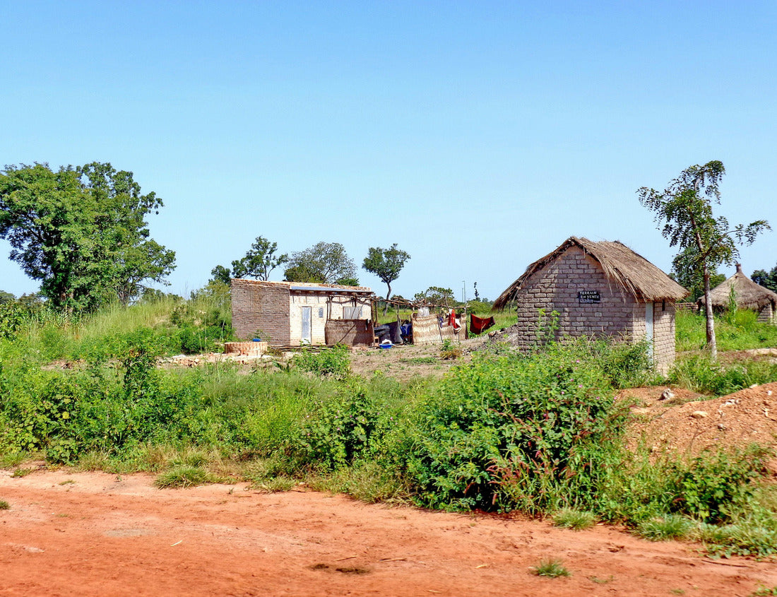 Noah Jigsaw Puzzle Local house on a street in rural Chad 1000 pieces