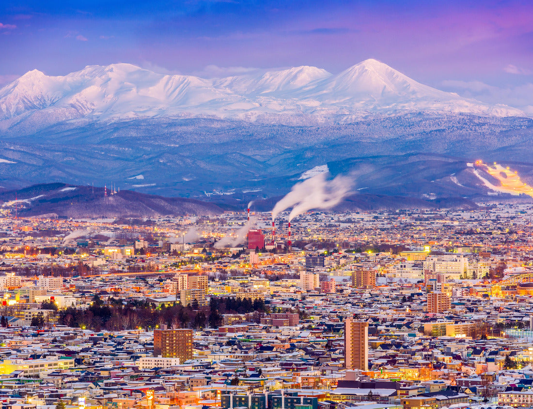 Noah Jigsaw Puzzle Asahikawa, Japan Winter city in Hokkaido 1000 pieces