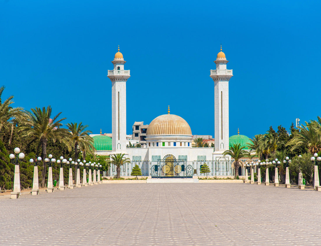 Noah Jigsaw Puzzle Mausoleum of Habib Bourgiba, the first president of the Tunisian Republic. Monastir 1000 pieces