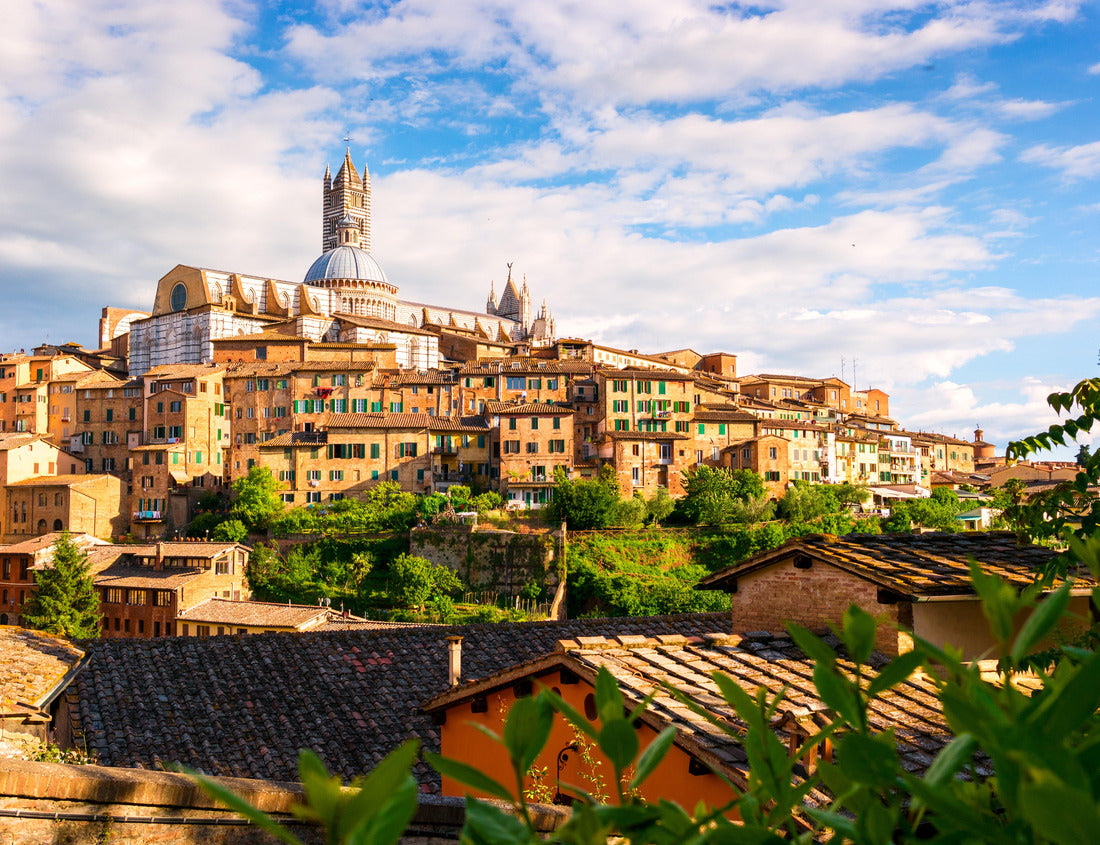 Noah Jigsaw Puzzle Aerial view with Duomo di Siena - Siena Catherdal, Tuscany, Italy 1000 pieces