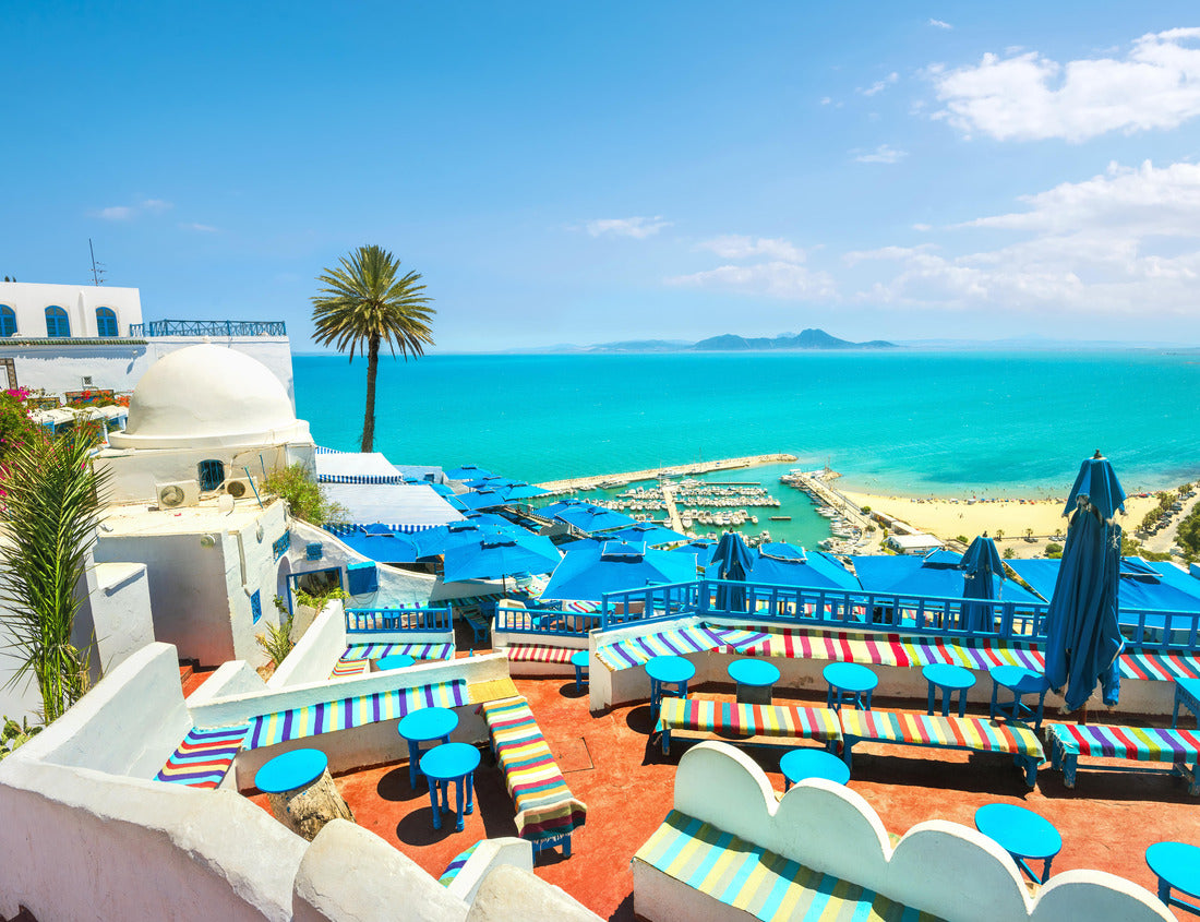Noah Jigsaw Puzzle Beautiful view of the sea and the white and blue village of Sidi Bou Said. Tunisia 1000 pieces