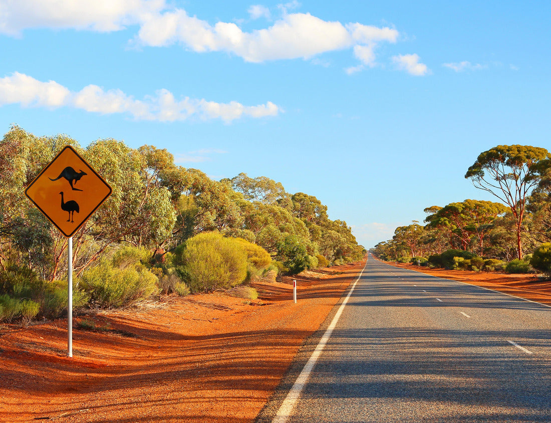 Noah Jigsaw Puzzle Australian outback road 1000 pieces