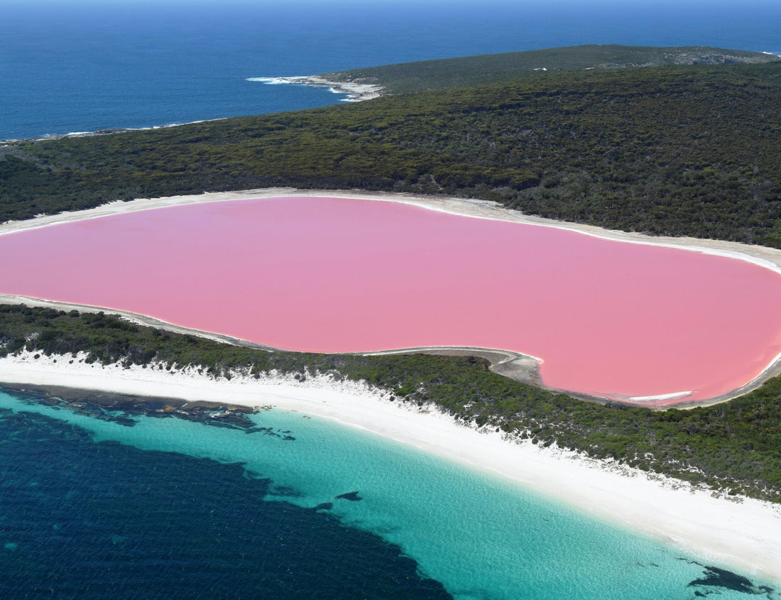 Noah Jigsaw Puzzle Lake Hillier, Western Australia: Amazing pink lake, natural landmark of Australia, in Middle Island, Recherche Archipelago Nature Reserve, near Esperance 1000 pieces