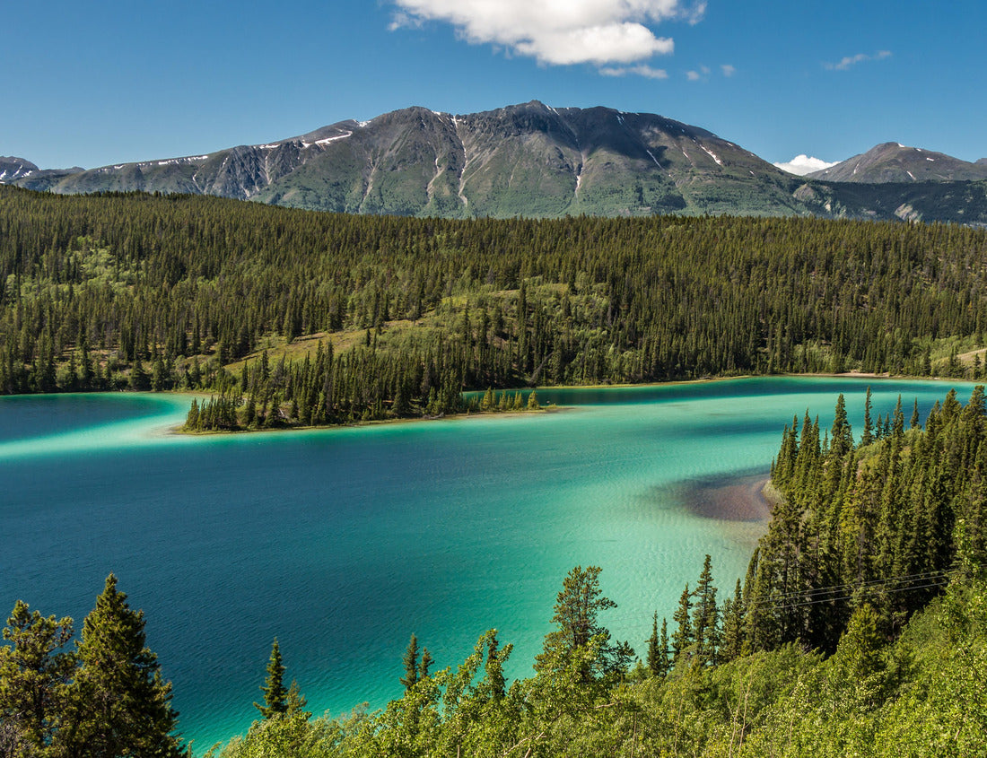 Noah Jigsaw Puzzle Emerald Lake - This is a shot of Emerald Lake in Yukon Territory, Canada. It is located near the town of CarCross 1000 pieces