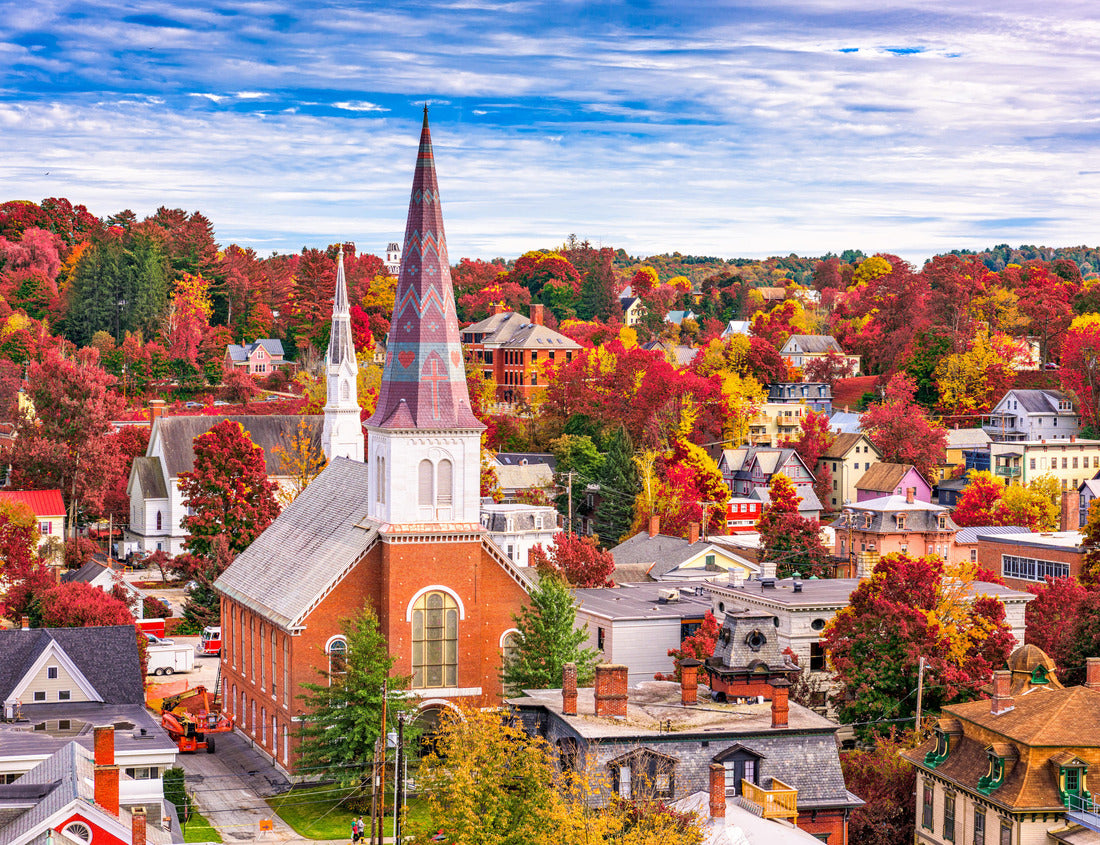 Noah Jigsaw Puzzle Montpelier, Vermont, USA town skyline in autumn 1000 pieces