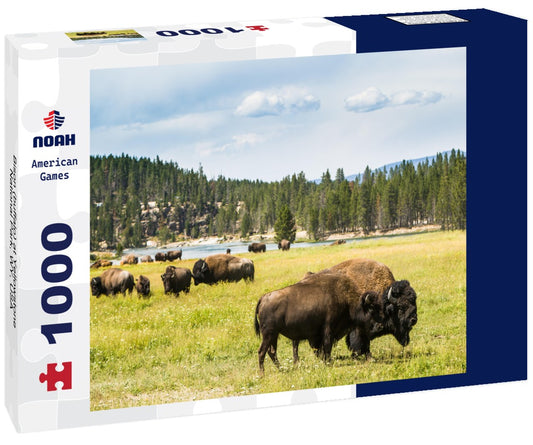 Noah Jigsaw Puzzle Bison (buffalo) at Yellowstone National Park, WY, USA 1000 pieces
