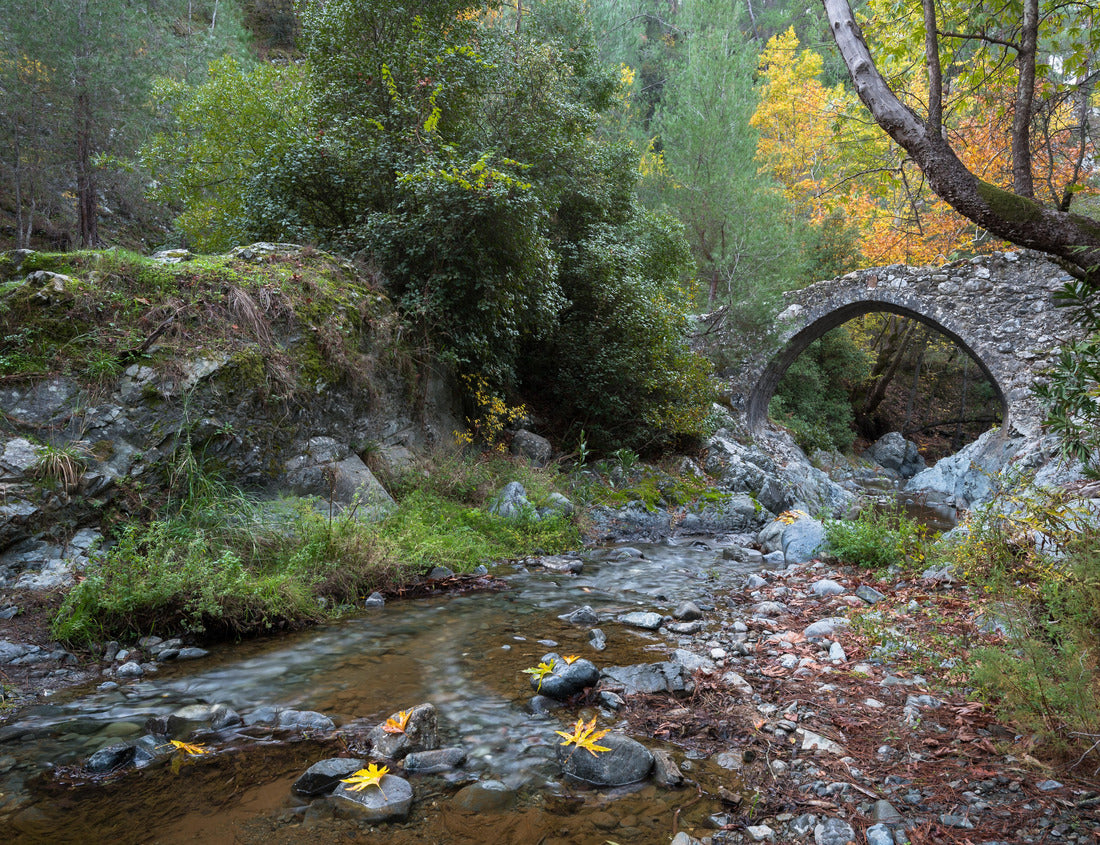 Noah Jigsaw Puzzle Medieval stoned bridge water flowing in the river in autumn. Elia Bridge Troodos mountains 1000 pieces