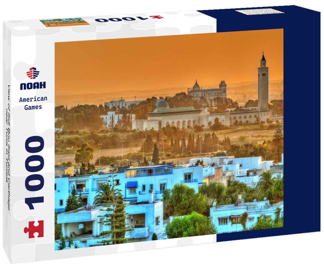 Noah Jigsaw Puzzle View of Sidi Bou Said and Carthage near Tunis in Tunisia 1000 pieces