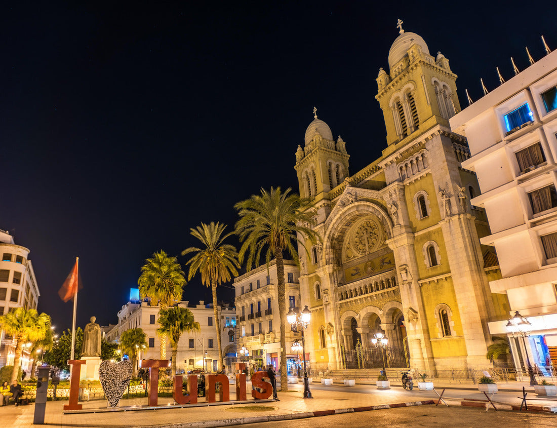 Noah Jigsaw Puzzle Cathedral of St. Vincent de Paul in Tunis, capital of Tunisia 1000 pieces