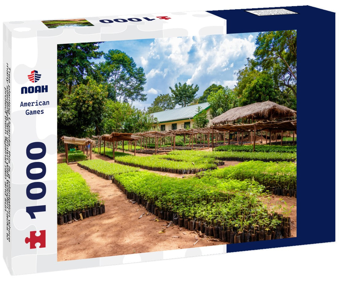 Noah Jigsaw Puzzle Tree planting Uganda, this is a plantation where many seedlings are grown with wooden racks to protect them against rain and sun 1000 pieces
