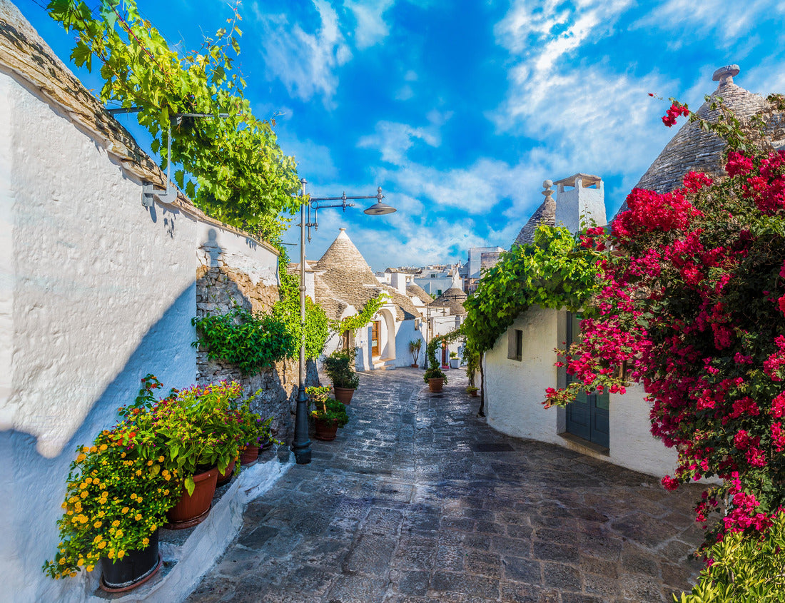Traditional Trulli houses in Alberobello, Puglia, Italy. 1000pc PuzzleBlack and White