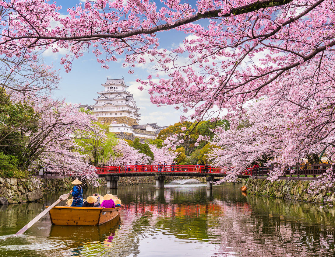 Noah Jigsaw Puzzle Himeji, Japan at Himeji Castle in spring season 1000 pieces