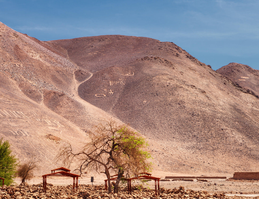 Noah Jigsaw Puzzle Geoglyphs Pintados Cerros, near the town of Pica, in the commune of Pozo Almonte, northern Chile 1000 pieces