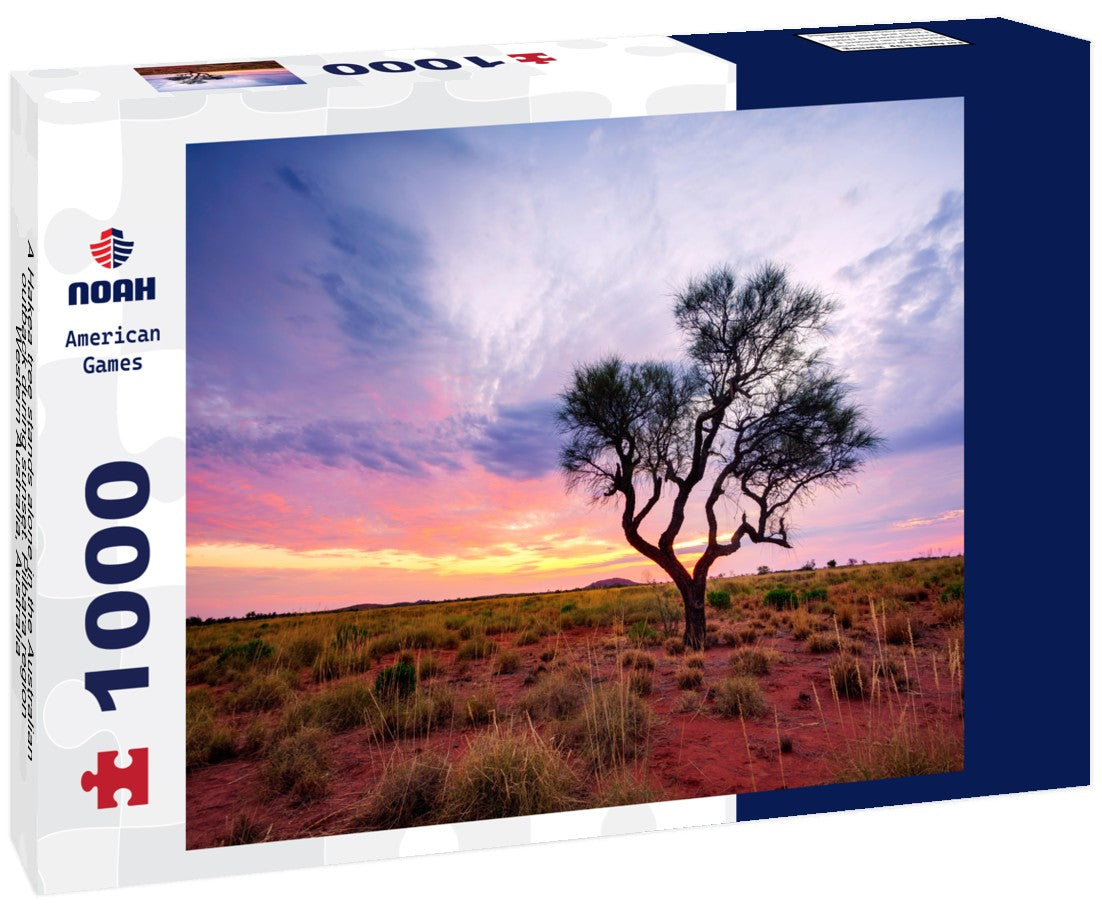 Noah Jigsaw Puzzle A Hakea tree stands alone in the Australian outback during sunset. Pilbara region, Western Australia, Australia 1000 pieces