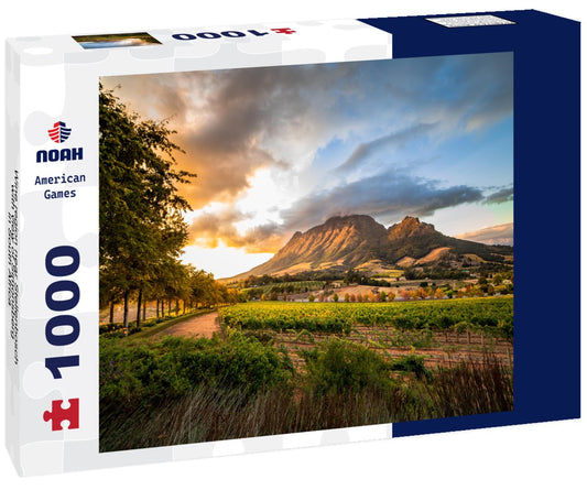 Noah Jigsaw Puzzle Wine region near Stellenbosch with view of Simonsberg in South Africa 1000 pieces
