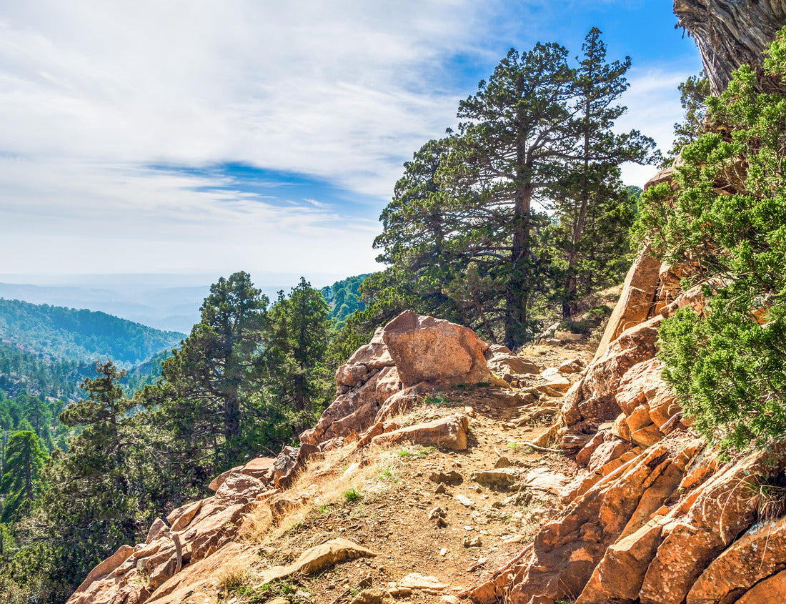 Noah Jigsaw Puzzle Mountain forest landscape, Troodos nature trail, Cyprus 1000 pieces