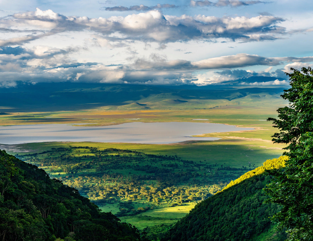 Noah Jigsaw Puzzle Looking down onto the floor of the Ngorongoro Crater from the southern edge of the crater 1000 pieces