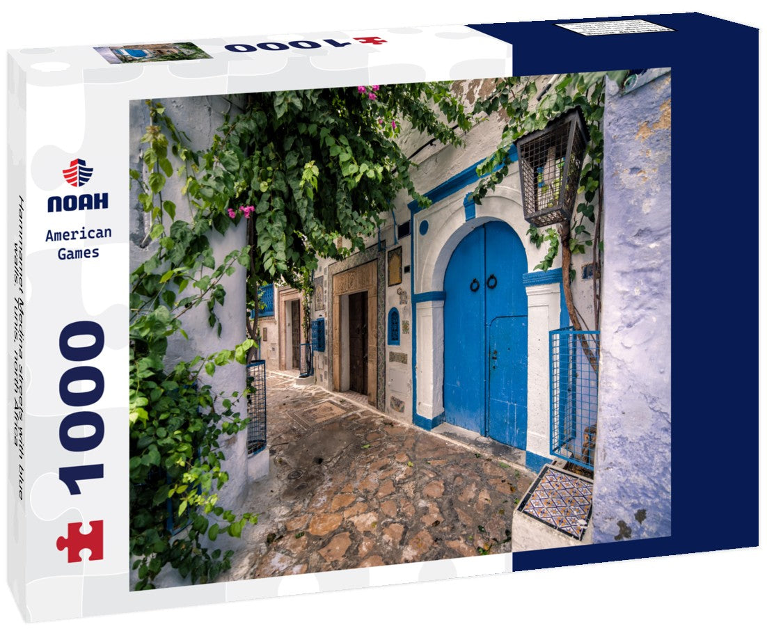 Noah Jigsaw Puzzle Hammamet Medina streets with blue walls. Tunis, north Africa 1000 pieces