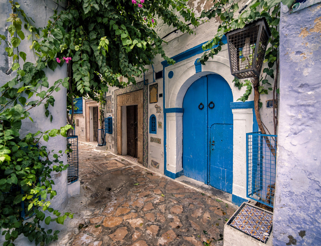 Noah Jigsaw Puzzle Hammamet Medina streets with blue walls. Tunis, north Africa 1000 pieces