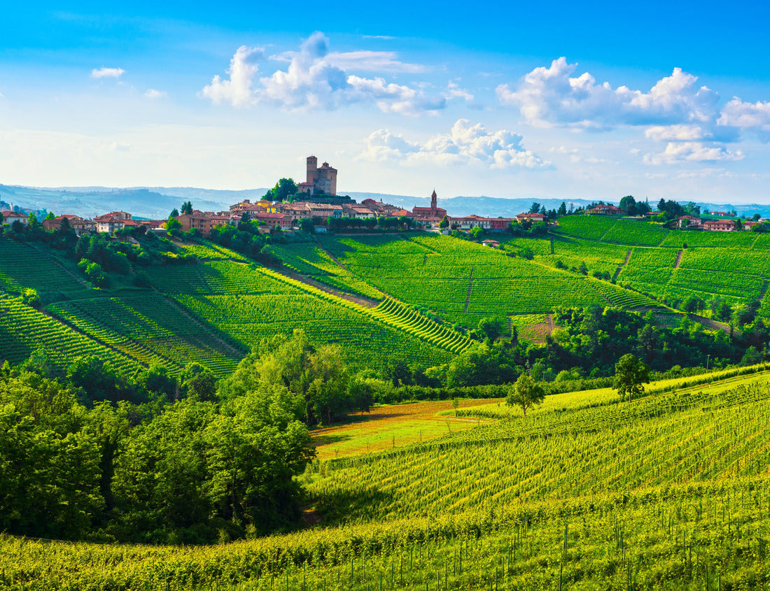 Noah Jigsaw Puzzle Langhe vineyards sunset panorama, Serralunga d'Alba, Unesco Site, Piedmont, Northern Italy 1000 pieces