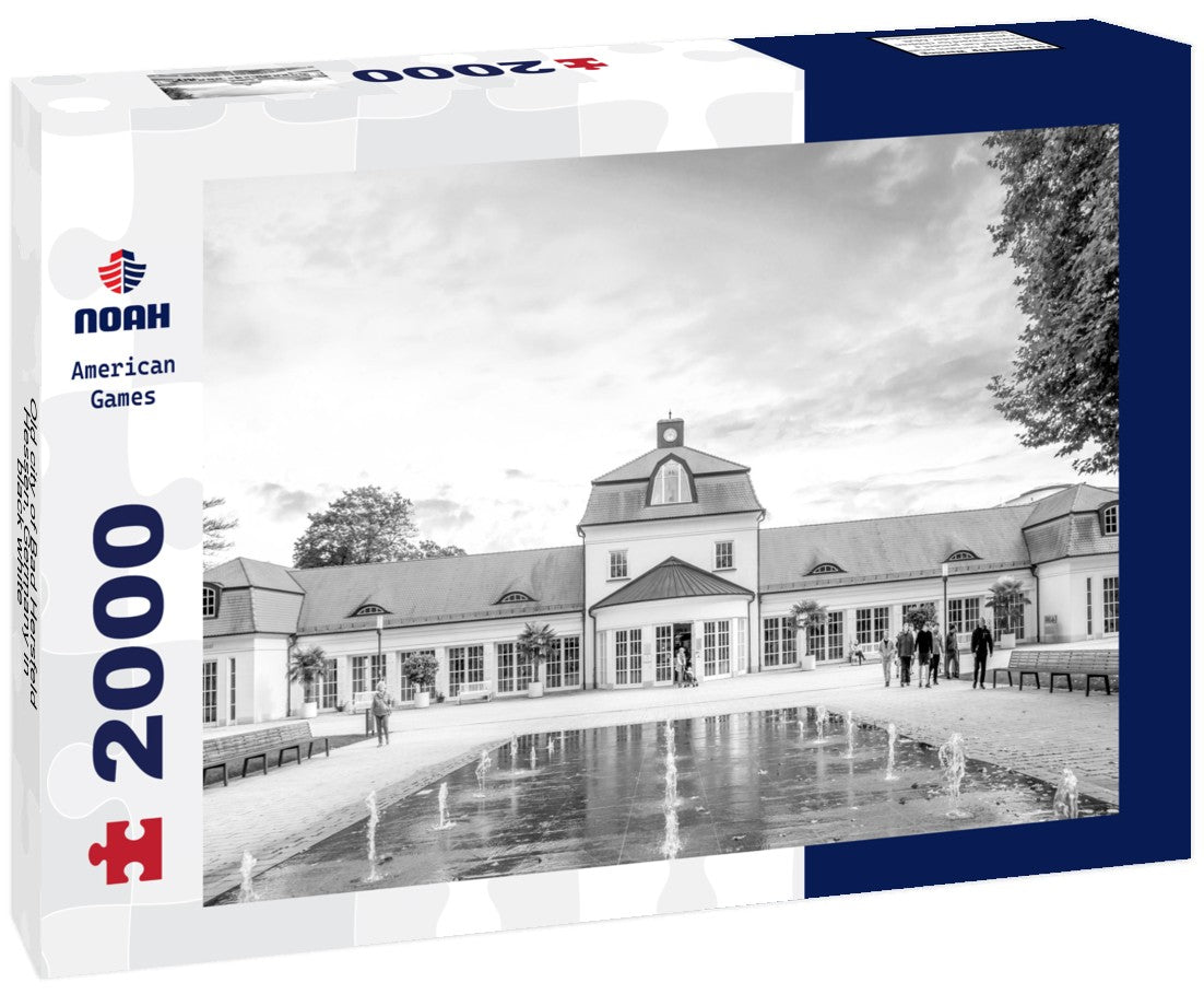 Noah Jigsaw Puzzle Old city of Bad Hersfeld, Hessen, Germany in black white 2000 pieces