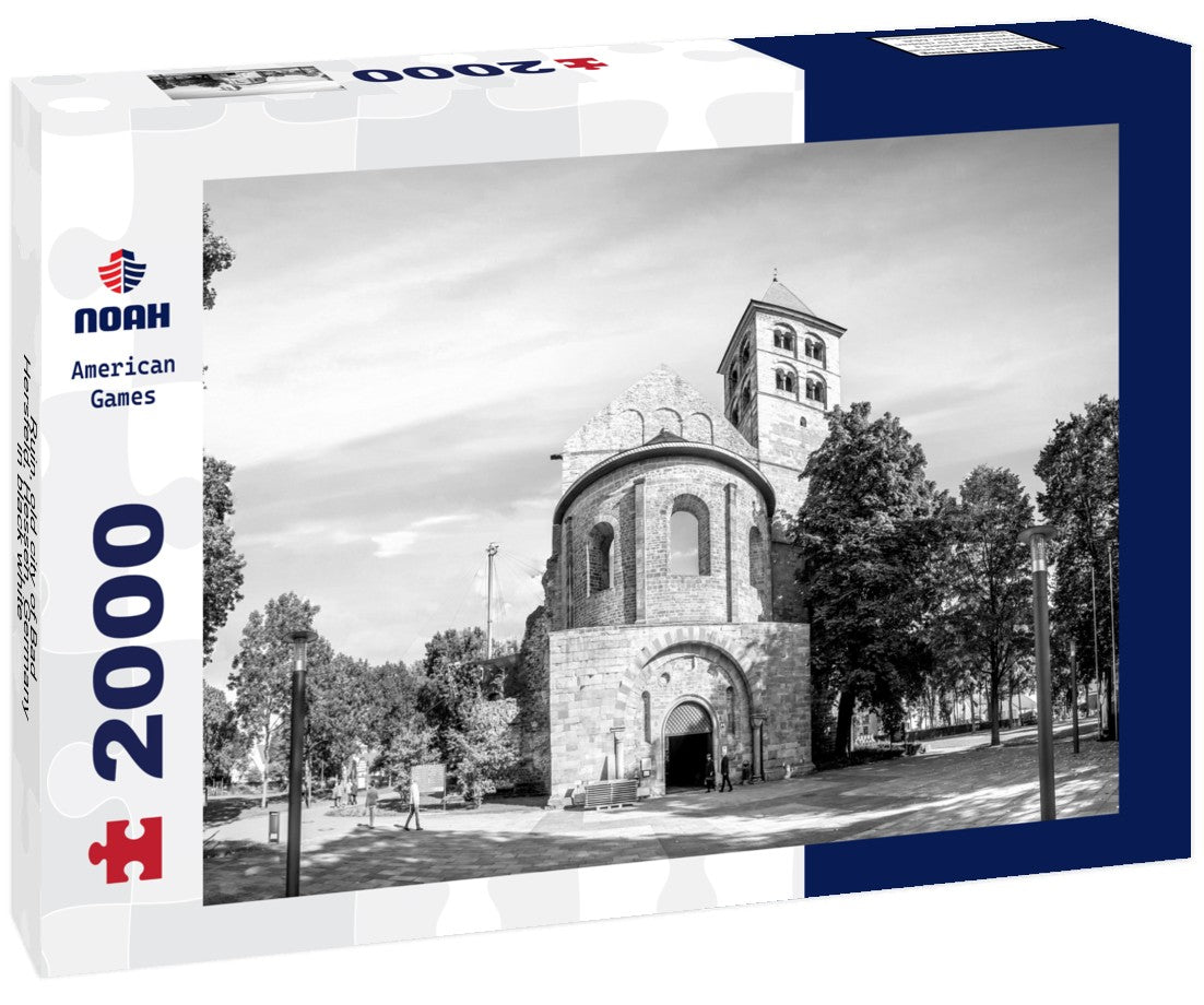 Noah Jigsaw Puzzle Ruin, old city of Bad Hersfeld, Hessen, Germany in black white 2000 pieces