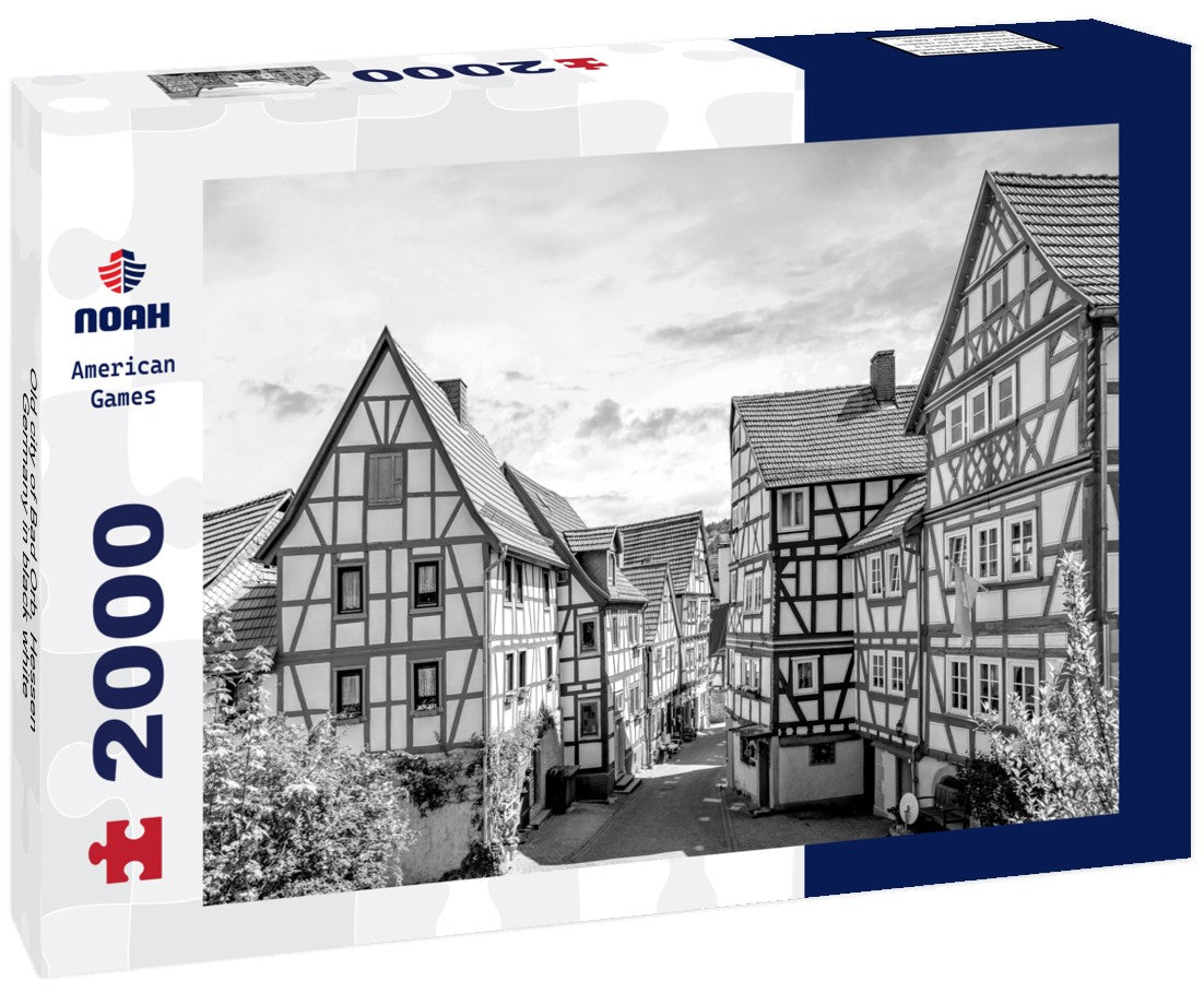 Noah Jigsaw Puzzle Old city of Bad Orb, Hessen, Germany in black white 2000 pieces