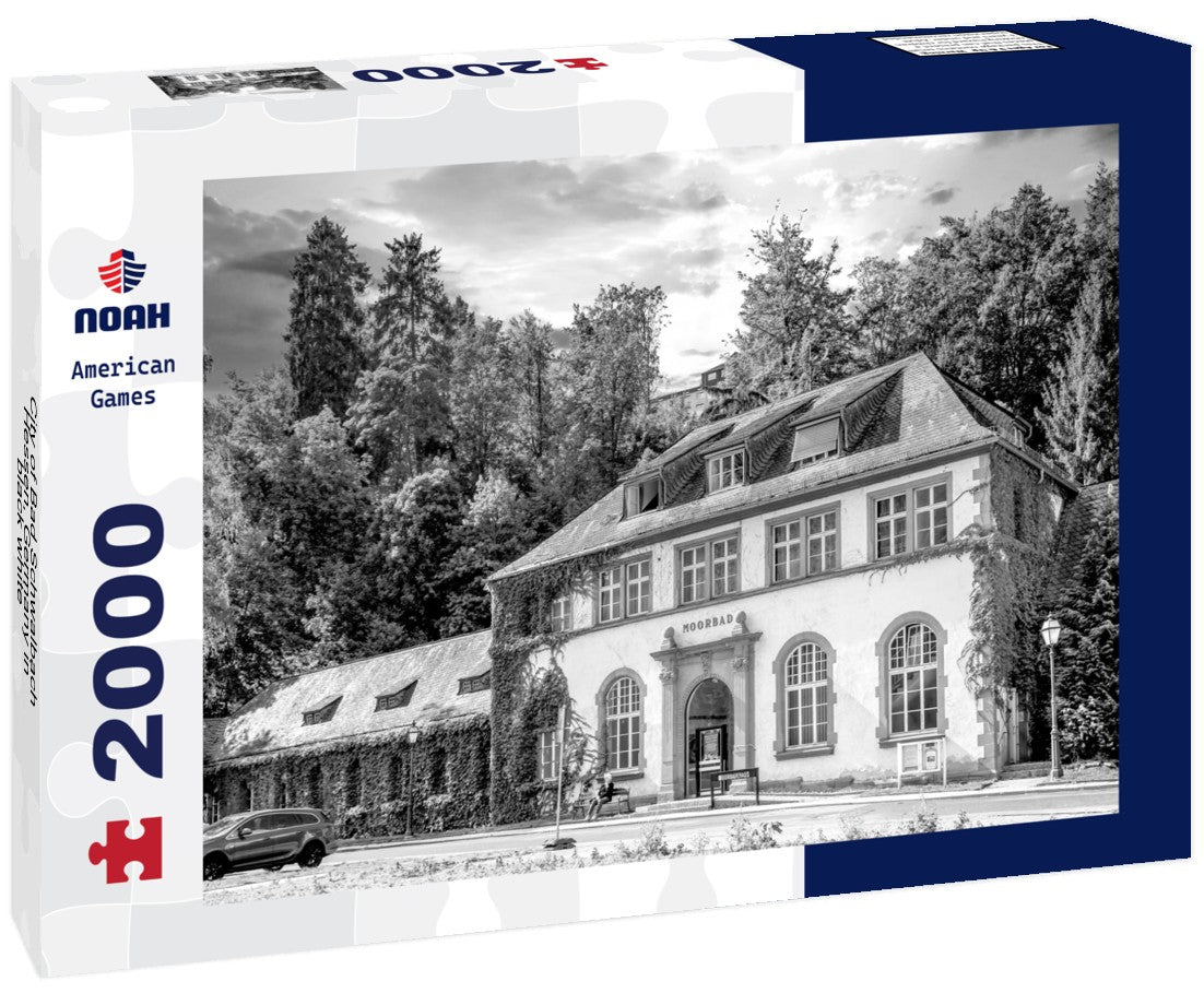 Noah Jigsaw Puzzle City of Bad Schwalbach, Hessen, Germany in black white 2000 pieces