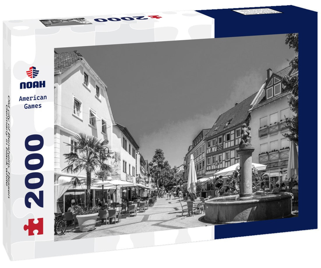 Noah Jigsaw Puzzle Old city of Bensheim, Hessen, Germany in black white 2000 pieces