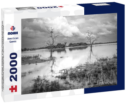 Noah Jigsaw Puzzle African pygmy storks (Anastomus lamelligerus) wait on dead trees over a flooded lake while hunting in Nyerere National Park (Selous Game Reserve) in southern Tanzania in black white 2000 pieces