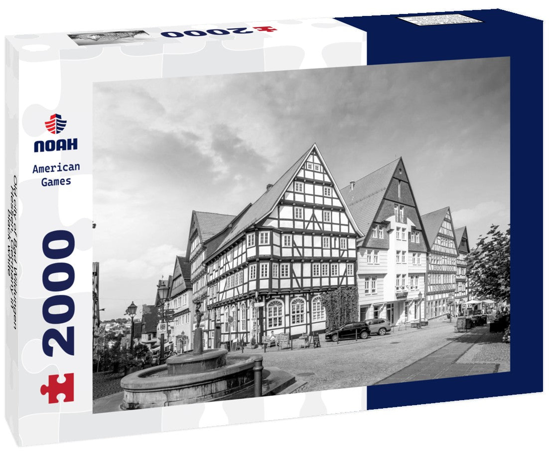 Noah Jigsaw Puzzle Old city of Bad Wildungen, Hessen, Germany in black white 2000 pieces