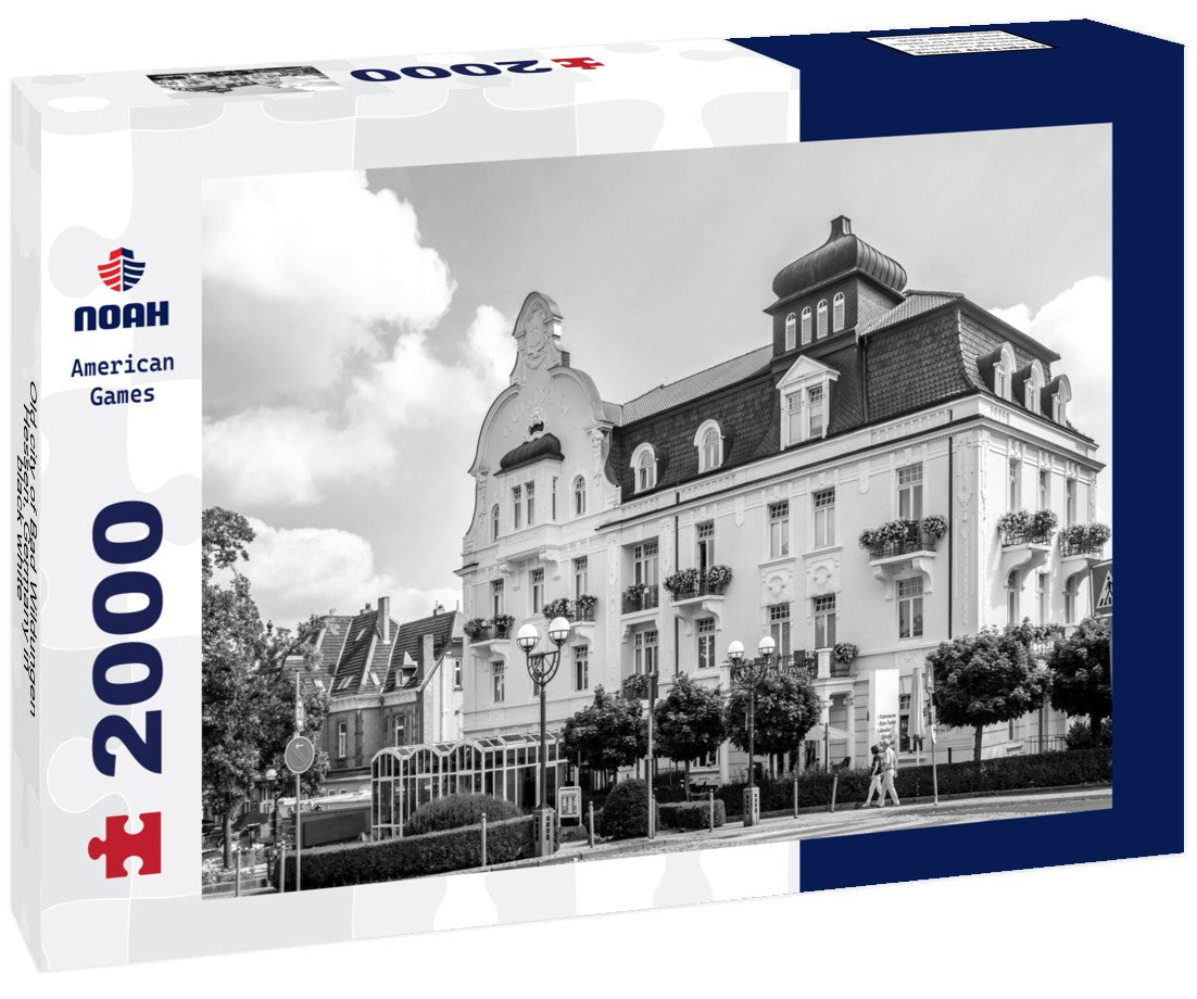 Noah Jigsaw Puzzle Old city of Bad Wildungen, Hessen, Germany in black white 2000 pieces