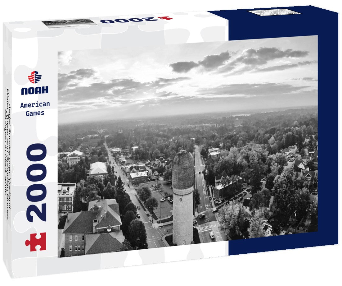 Noah Jigsaw Puzzle Aerial Sunrise over Ypsilanti Water Tower and Suburban Homes, Michigan in black white 2000 pieces