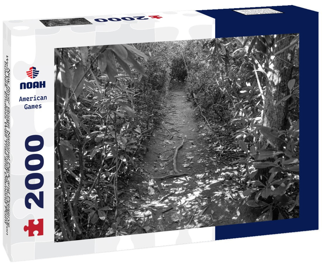 Noah Jigsaw Puzzle New River Gorge National Park and Preserve, West Virginia. Green tunnel made by rhododendron bushes. Endless Wall Trail and Diamond Point, Fern Creek Trail in black white 2000 pieces