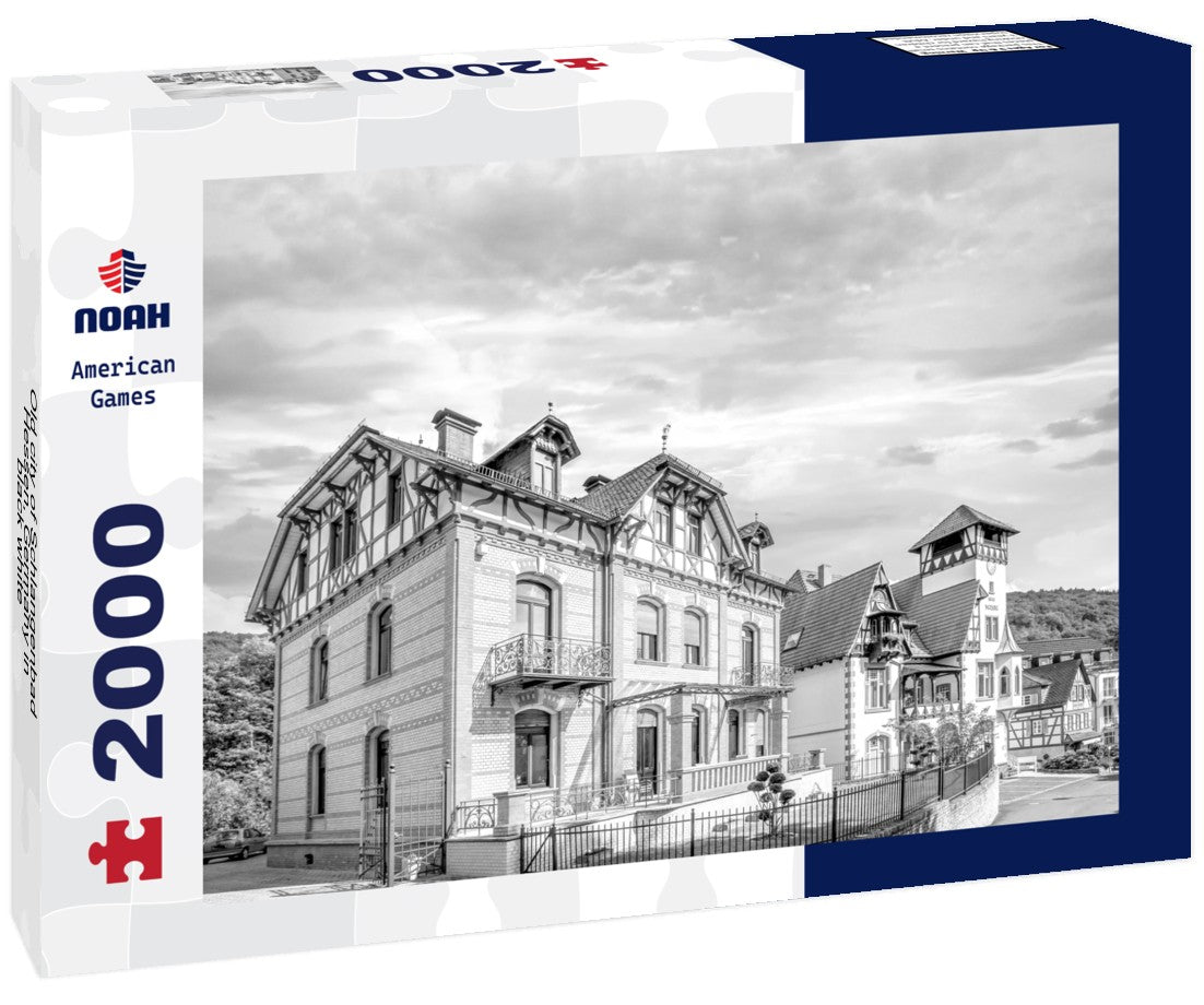 Noah Jigsaw Puzzle Old city of Schlangenbad, Hessen, Germany in black white 2000 pieces