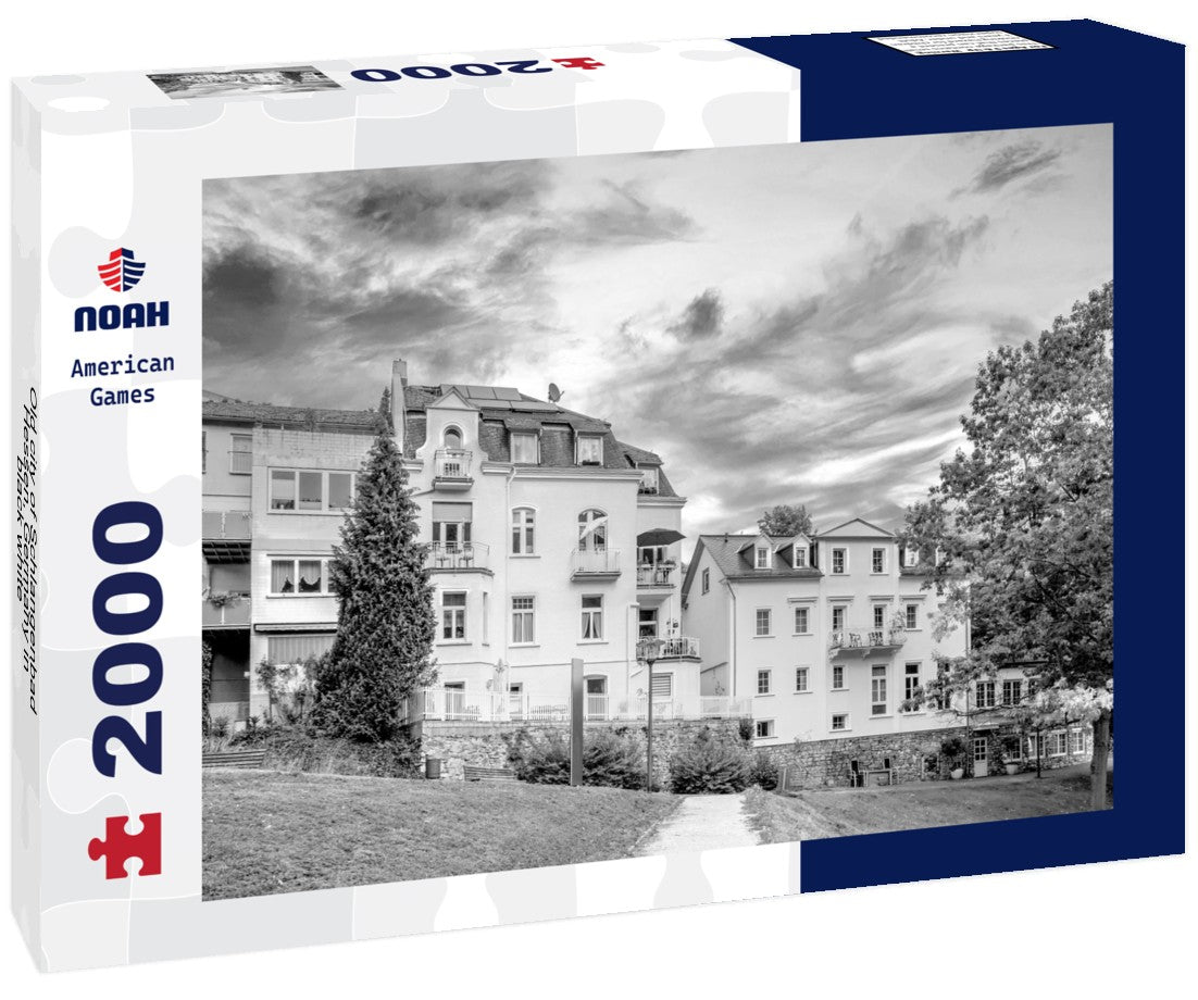 Noah Jigsaw Puzzle Old city of Schlangenbad, Hessen, Germany in black white 2000 pieces