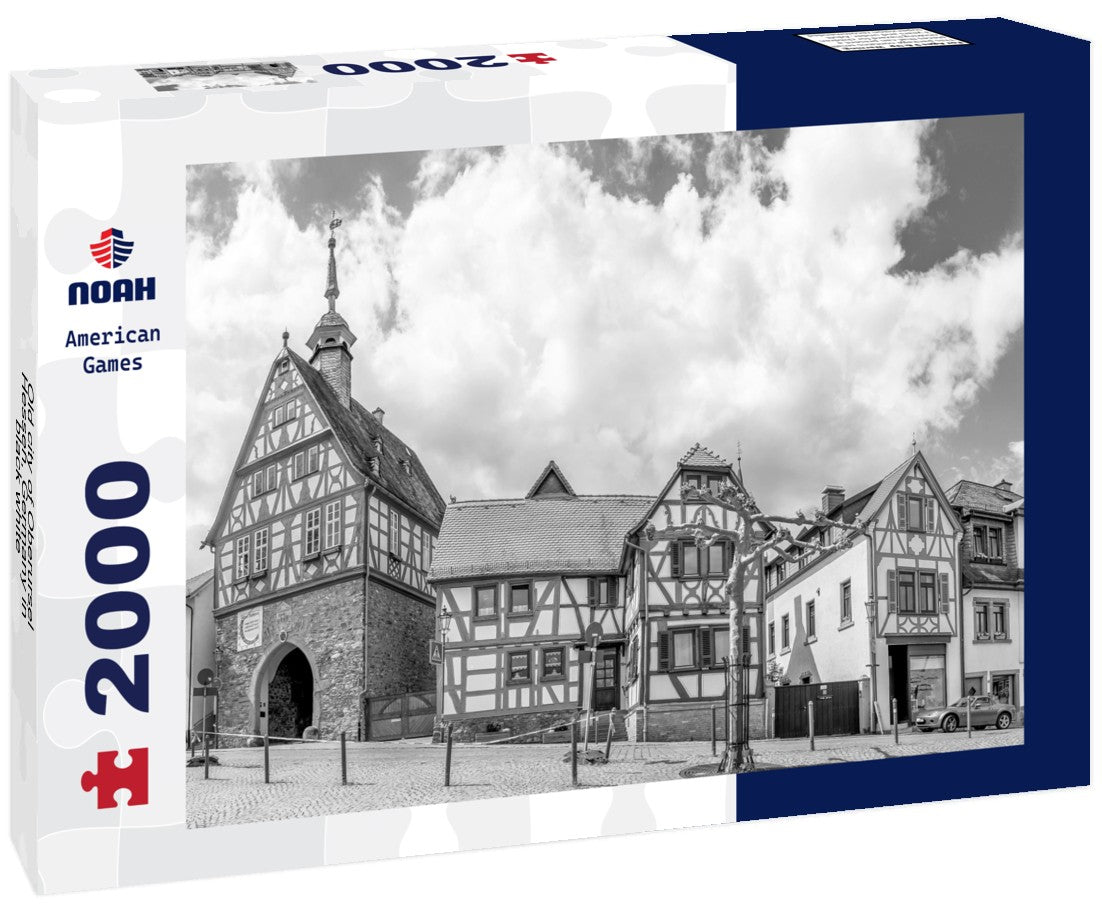 Noah Jigsaw Puzzle Old city of Oberursel, Hessen, Germany in black white 2000 pieces